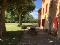 Provençal farm among olive trees; view of the hill from a large shaded terrace