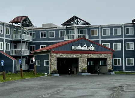 True cozy 3 bedroom ski out, Mountain Lodge 126/124 Snowshoe, WV