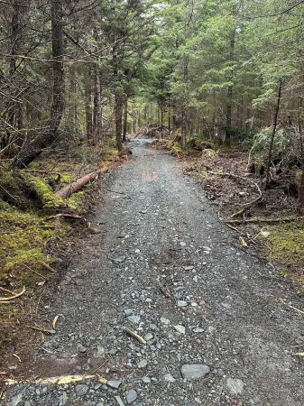 Amazing 1-bedroom yurt in Seward