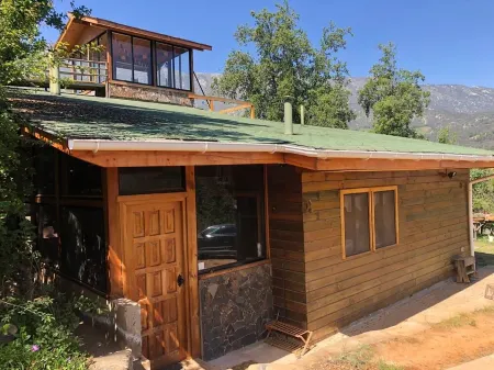 Connect with the Chilean native forest