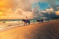 KITE BEACH HOTEL  Oceanfront Studio with Garden View