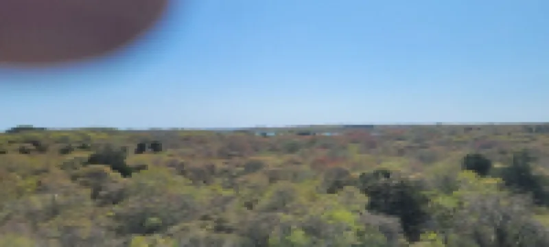 Secluded Home Abutting Bird Sanctuary