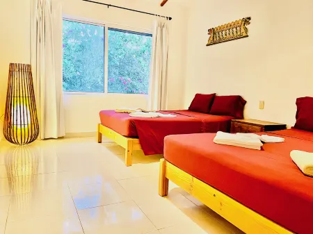 Executive Basic Room with Swimming Pool Air Conditioning and Parking