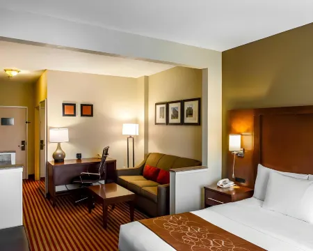 Comfort Suites Raleigh Walnut Creek