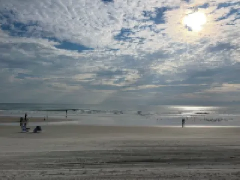 Pet-Friendly, Beach-Themed Tropical Manor 2 Bedrm Apts Across from Daytona Beach