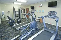 Holiday Inn Express & Suites LAKE CHARLES by IHG - Gym