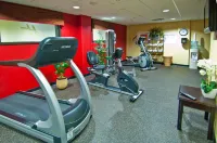 Holiday Inn VICKSBURG by IHG - Gym