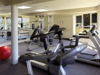 Mercure Queenstown Resort - gimnasio