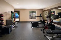 Martis Valley Lodge, Tapestry Collection by Hilton - Gym