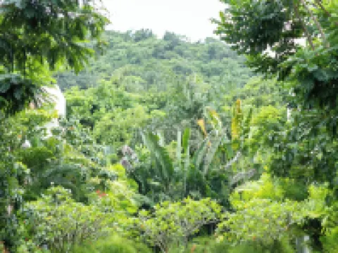 El Tesoro-II J3 Hotels in Mapusa