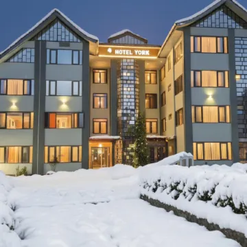 Hotel York (5 Mins Walk to Dal Lake)