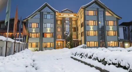 Hotel York (5 Mins Walk to Dal Lake)