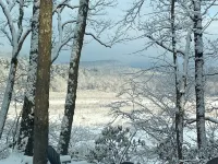 Enchanted 2 bedroom, x-lake cabin with mountain views.  Fast WFYI , Napanoch.