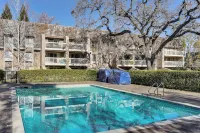 Pool Access! Base to See Stanford & Intl Soccer - 3 stjerner