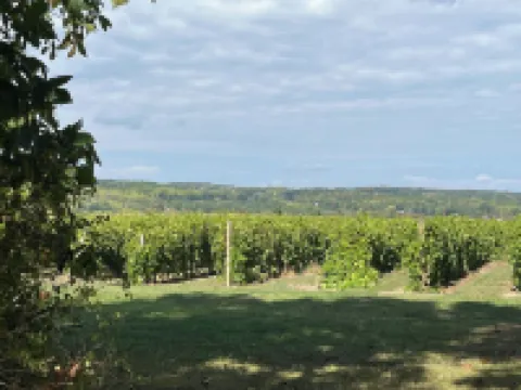 Grey Goose Cottage In The Heart Of The FingerLakes