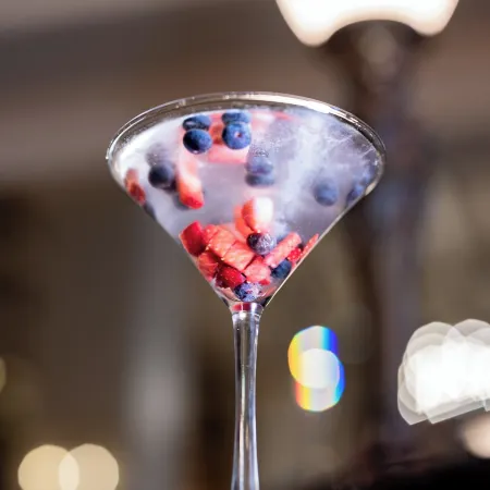 Millennium Hotel Knickerbocker Chicago