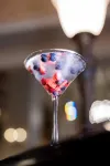 Millennium Hotel Knickerbocker Chicago - Barer