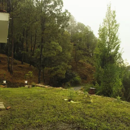 Samar Villa by Trayati Stays, Kasar Devi, Binsar Wildlife Sanctuary