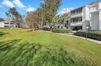 Solara Apartments Spacious 2BR Apartment Sleeps 6 Pet-Friendly