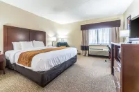 Comfort Inn Festus-St Louis South - Wifi