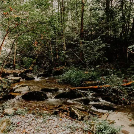 The Perch: Glamping by Rafting
