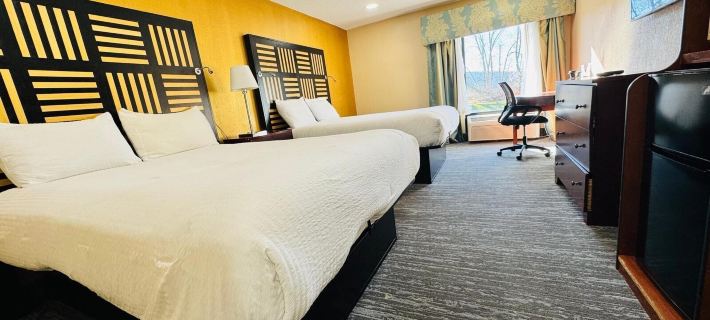 Hotel M Mount Pocono Отели в г. Монро