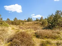 "Eroll" - 1.8km from the Sea