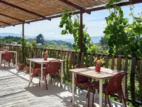Quinta Da Estrada Winery Douro Valley Hotels in Vila Real