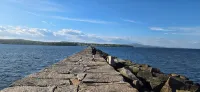 緬因州中海岸，距海邊5分鐘的迷人離網木屋 - 小木屋