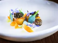 Aux Terrasses - Pet friendly