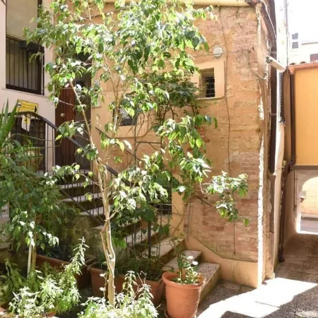 B&B Garden in the city
