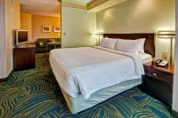 SpringHill Suites Norfolk Old Dominion University - مسبح