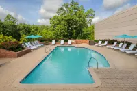 The Woodlands Waterway Marriott Hotel & Convention Center - piscine