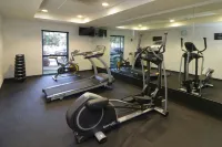 City Express by Marriott Ciudad Victoria - Gym
