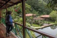 Trogon Lodge - Mountain view