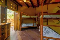 Raízes Eco Hostel - Bars