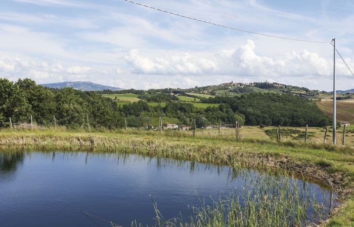 La Carraia (Ter100)