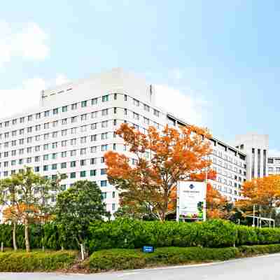 호텔 마이스테이스 프리미어 나리타 Hotel Exterior