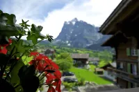 Hotel Kirchbühl Superior - Mountain view
