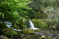 Nature Near Bilbao