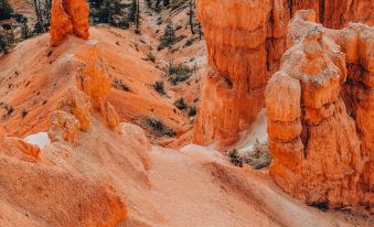 Wander Camp Bryce Canyon - Escalante