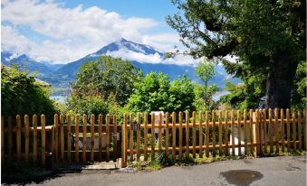 Chalet with Panoramic Views of the Mountains of the Oberland and Lake Thun