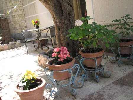 Levantin Inn Room N6 Park View