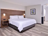 Holiday Inn Express & Suites ELGIN by IHG Hoteles en Condado de Bastrop