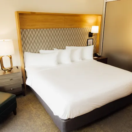 Holiday Inn & Suites HOPKINSVILLE - CONVENTION CTR by IHG