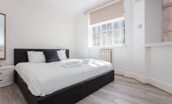 Modern 2 Bedroom Apartment in Marble Arch - Housity