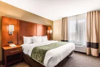 Comfort Suites Tuscaloosa Near University