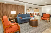 Comfort Suites DeSoto Dallas South - Pool