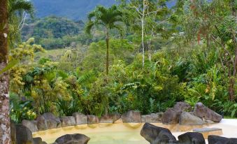 Arenal Paraiso Resort Spa & Thermo Mineral Hot Springs