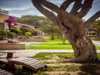 Hotel Morabeza Hotel di 